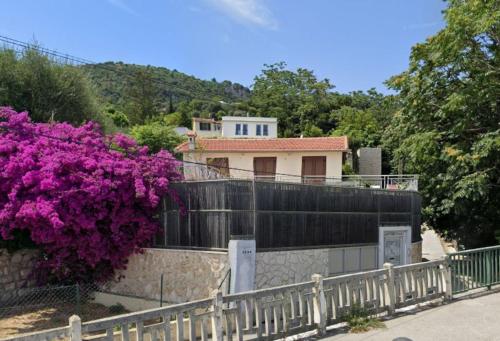 博索莱伊EDEN CAP : A delightful villa lodges 11 adults just one km away from Monte Carlo station的一座带围栏和紫色花卉的房屋