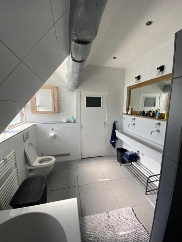 阿珀尔斯哈De Posthoorn的白色的浴室设有水槽和卫生间。