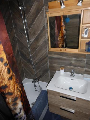 勒索兹Le Chamois Blond 509的一间带水槽和淋浴的浴室