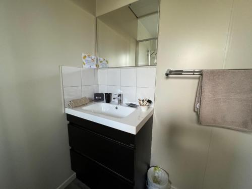 因弗卡吉尔金叶公寓的一间带水槽和镜子的浴室