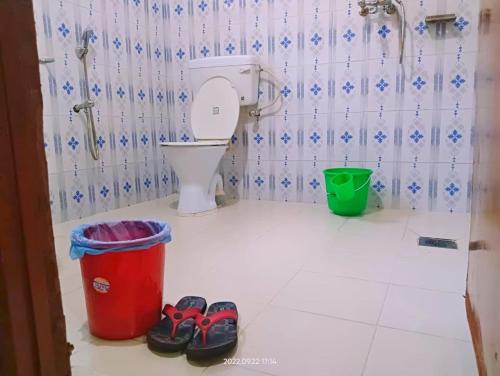 索拉哈Hotel Butterfly , Sauraha , Chitwan的浴室设有卫生间和2双鞋