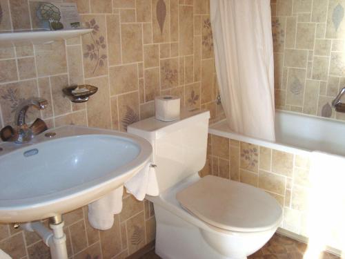 施万登骆驼恩酒店的浴室配有盥洗盆、卫生间和浴缸。