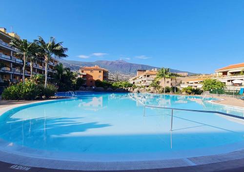 拉克鲁斯Retama del Teide, Puerto de la Cruz的一座种植了棕榈树和建筑的大型蓝色游泳池