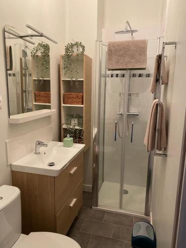 勒泰勒Le Cocon Rethelois.的带淋浴、盥洗盆和卫生间的浴室
