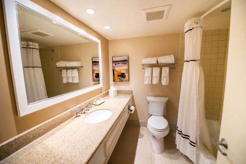巴港巴港假日酒店的一间带水槽、卫生间和镜子的浴室