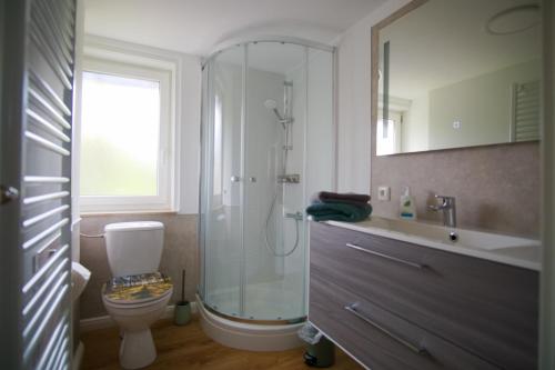 巴特萨克萨Ferienwohnung Ravensberg Dachgeschoss的带淋浴、卫生间和盥洗盆的浴室