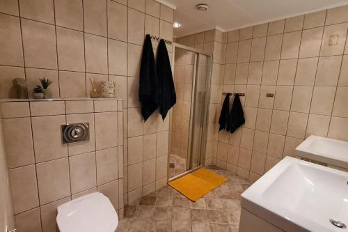 特罗姆瑟Arctic Lodge Tromvik with jacuzzi的带淋浴、卫生间和盥洗盆的浴室