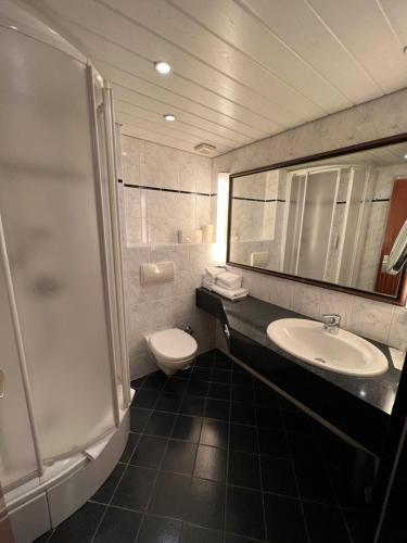 明登精美酒店的浴室配有卫生间、盥洗盆和淋浴。