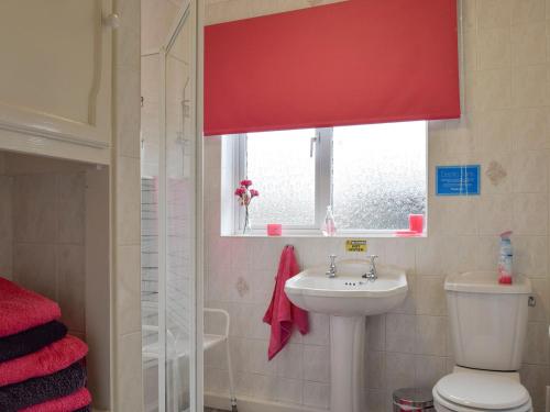 Birtsmorton莉娜山林小屋酒店的一间带卫生间、水槽和窗户的浴室