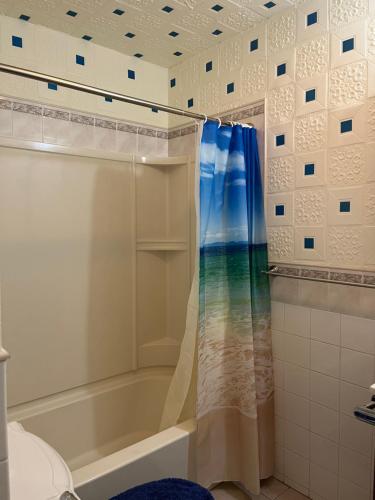 林登Lovely three Bedroom Apartment near Jersey city and Newyork的一间带蓝色淋浴帘的淋浴的浴室