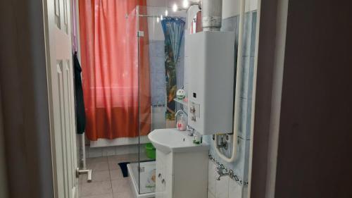 塞克希费黑瓦尔Veronika Apartment的一间带水槽和淋浴的小浴室