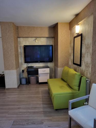维丁Vida Family Hotel的客厅配有绿色沙发和平面电视