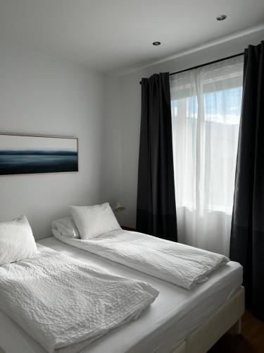 塞济斯菲厄泽赛季斯菲尔泽公寓酒店的带窗户的客房内的两张床