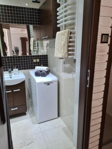 卡尔帕奇Apartament u Maryśki的一间带水槽、洗衣机和烘干机的浴室