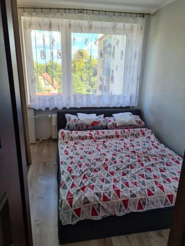 卡尔帕奇Apartament u Maryśki的一间卧室配有一张带床罩的床和窗户