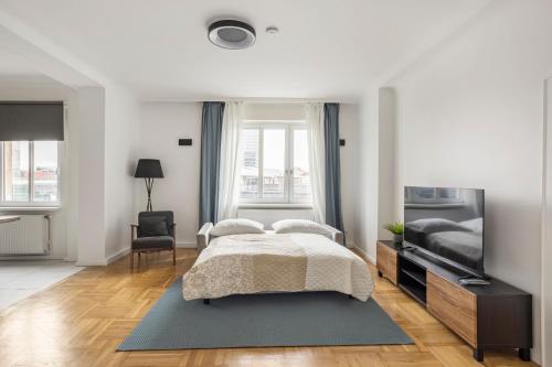 维也纳CITY CENTER- stylish & sunny Appartement的一间卧室配有一张床和一台平面电视