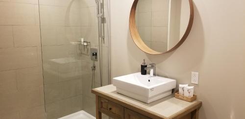 圣多纳特蒙卡尔姆Hotel "Le Suisse"的浴室配有盥洗盆和带镜子的淋浴
