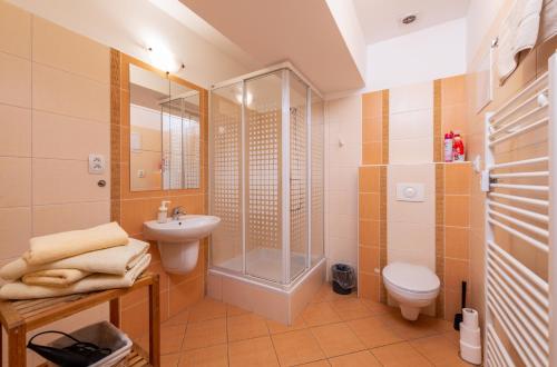 利普托斯基米库拉斯Apartment 353 Liptov Town的带淋浴、卫生间和盥洗盆的浴室