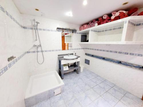 布拉格Wellness Aqua House的白色的浴室设有水槽和淋浴。