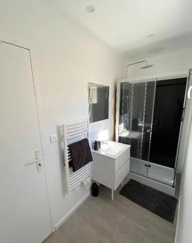 昂热maison moderne proche centre ville/hôpital的白色的浴室设有水槽和镜子