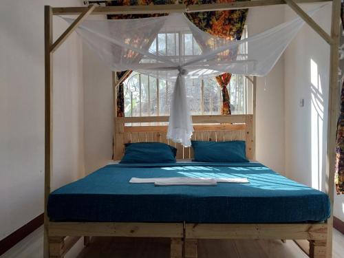 达累斯萨拉姆L&J Modern Backpackers Kigamboni Beach House的一间卧室配有一张带蓝色床单的天蓬床