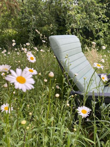 费奎弗洛尔·埃奎安维尔STUDIO CHAUMIERE sur un domaine de 10 hectares的坐在花田里的绿色椅子