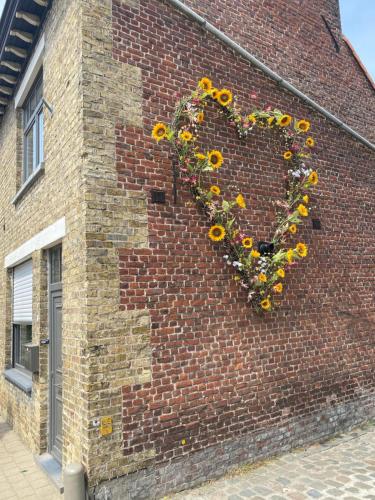 赫纲兰德Sulfer7的砖砌建筑中向日葵制成的心
