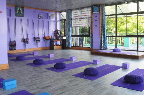 麦罗肯机Yoga House的窗户间内带紫色垫的瑜伽课程