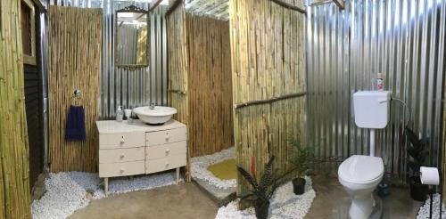 RensburgdorpThe shack life的一间带卫生间、水槽和镜子的浴室