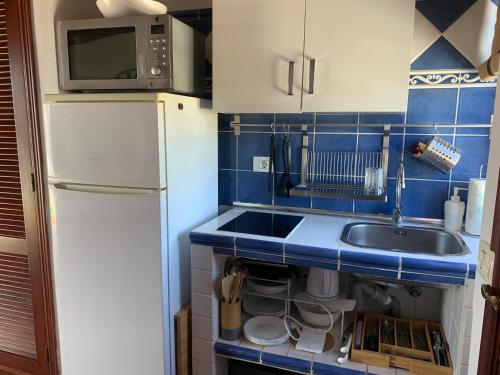 圣米格尔德阿沃纳Eagle Studio的一间带水槽和微波炉的小厨房