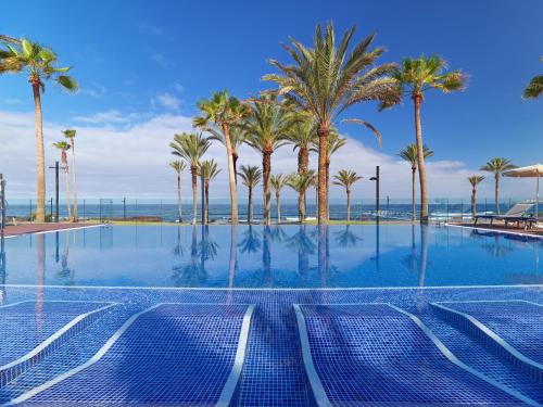 美洲海滩H10征服者酒店的一座棕榈树和海洋游泳池