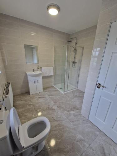 阿比菲尔Mountmahon House的一间带卫生间和淋浴的浴室