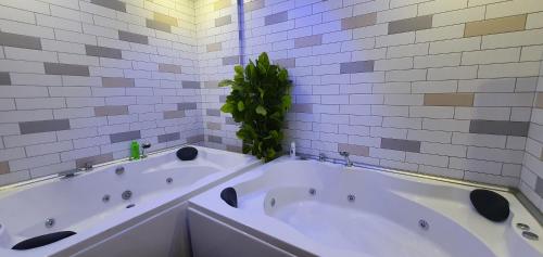 伊斯坦布尔塔克辛公寓的白色浴室设有两个浴缸和绿色植物