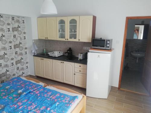 博加奇Total Relax Apartmanház的厨房配有冰箱和微波炉。