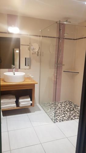 勒布伊比尔波克酒店的一间带水槽和玻璃淋浴的浴室