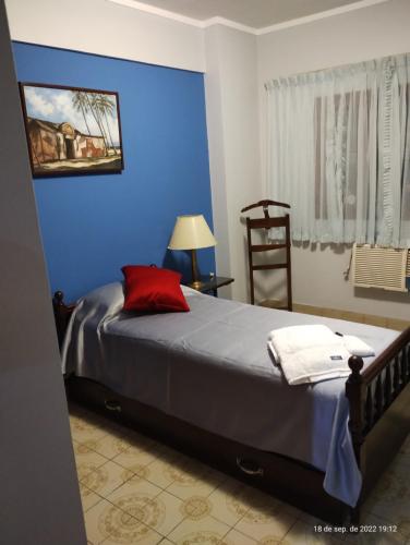 圣米格尔·德·图库玛Dpto céntrico con estacionamiento的蓝色卧室,配有一张带红色枕头的床