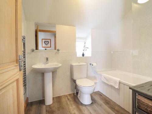 布莱奈费斯蒂尼奥格Bridgeway House的白色的浴室设有卫生间和水槽。