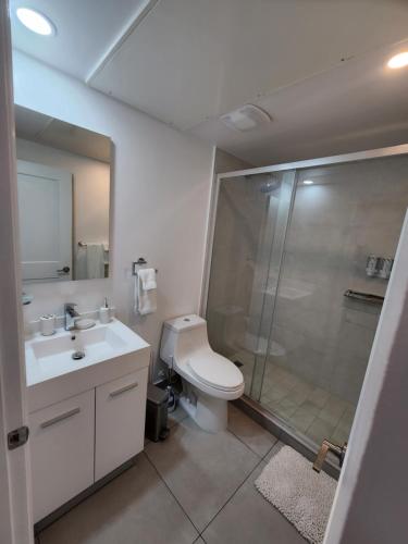 奥拉涅斯塔德ARUBA DREAM GETAWAY 2BR/2BT OCEAN & POOL VIEW的带淋浴、卫生间和盥洗盆的浴室