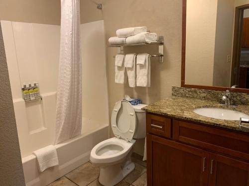 琼斯伯勒琼斯伯勒烛木套房酒店的浴室配有卫生间、盥洗盆和淋浴。