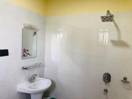奇旺Hotel Happy Land的白色的浴室设有水槽和淋浴。