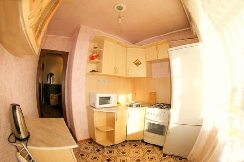 赤塔Dekabrist apartment at petrovsko-zavodskaya 31的厨房配有白色冰箱和微波炉