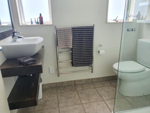 纳尔逊MoanaViews的浴室配有卫生间、盥洗盆和淋浴。