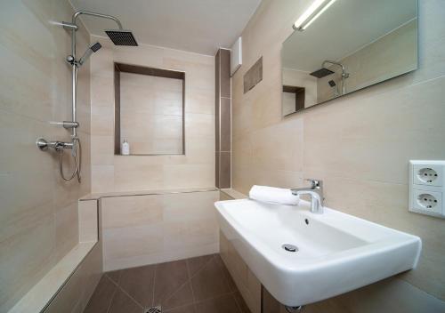 奥克森豪森莫林酒店的一间带水槽、淋浴和镜子的浴室