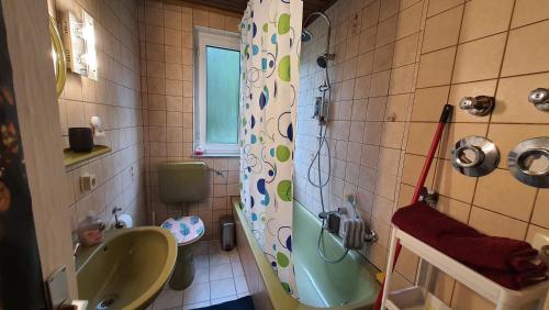 特里贝格Two-Bedroom Apartment near Triberg Waterfall的一间带水槽、浴缸和卫生间的浴室
