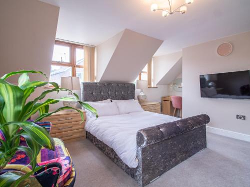 HeeleyGrandeur Homes Sheffield的一间卧室配有一张沙发床和一台电视。