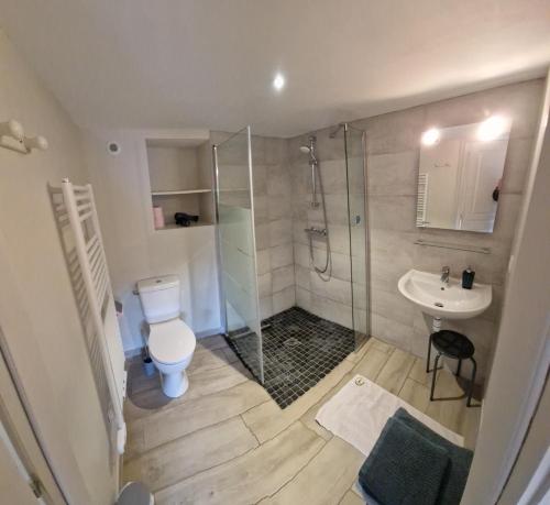 桑甘恩蒙朗特Gîte de la Noyelle à Sainghin en Mélantois的带淋浴、卫生间和盥洗盆的浴室