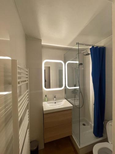 拉萨尔莱阿尔佩Le Lautaret的浴室配有盥洗盆和带镜子的淋浴