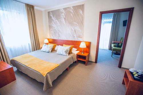 伊格纳利纳苏维德拉酒店的酒店客房,配有床和镜子