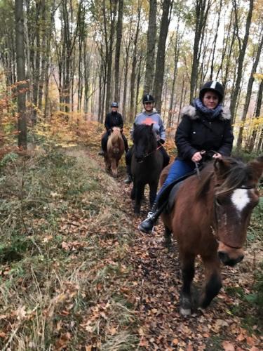 赫尔辛厄Dyrlundgaard tilbyder charmerende ferielejlighed.的三位骑马者在树林里走下一条小径