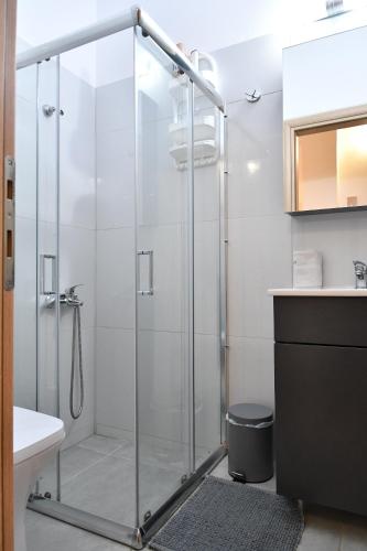 纳夫普利翁Giorgos House的浴室里设有玻璃门淋浴